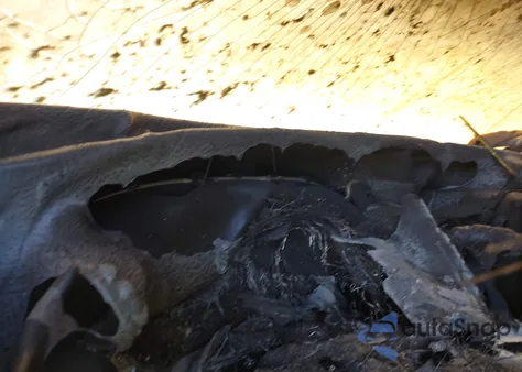 2008 Chevrolet Express Work Van z USA, uszkodzony, nr VIN 1GCHG35K381141645